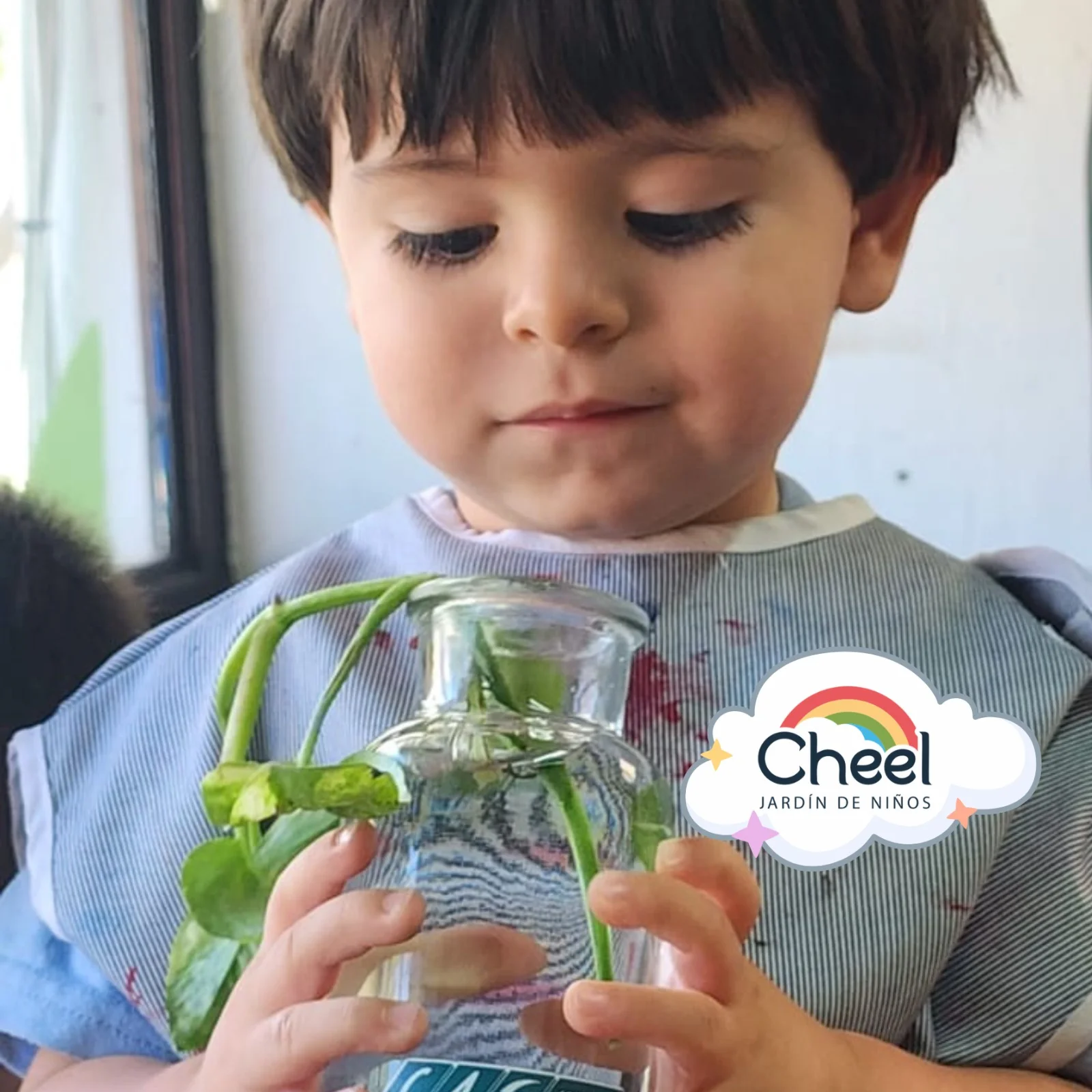 Comunidad Kínder Cheel Zapopan — niños y maestras en actividad escolar